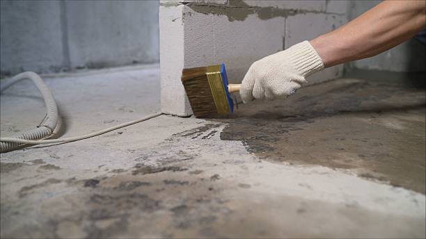 SJ Waterproofing Pros Waterproofing coverage map for Takoma Park, MD and surrounding area